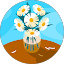 Linda Walls Avatar